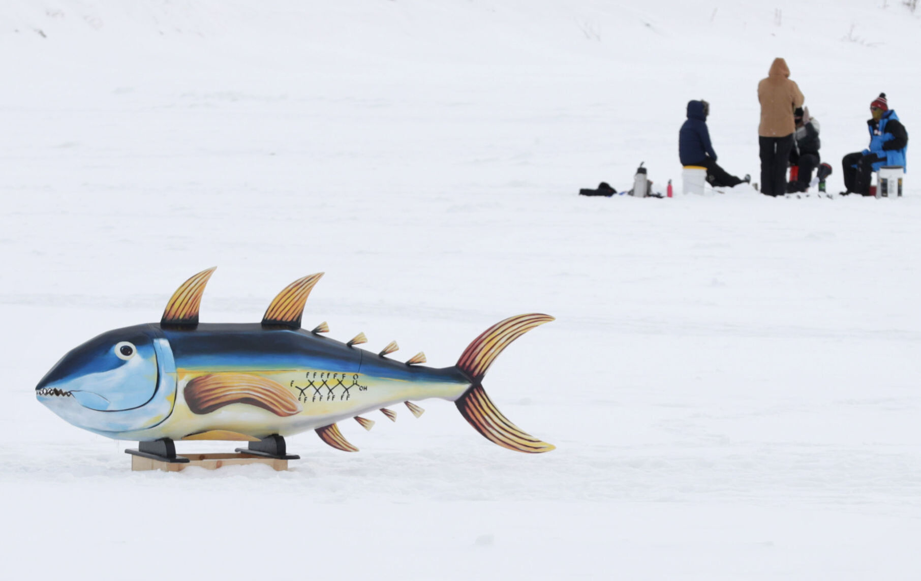 Winter is Alive!